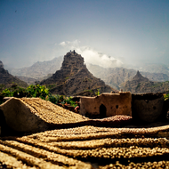 Yemen - Mokha Matari